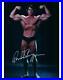 Arnold-Schwarzenegger-signed-8x10-Photo-autographed-Picture-with-COA-01-jwo