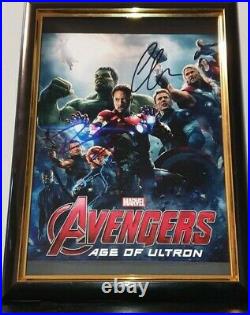 Chris Evans & Robert Downey Jr Hand Signed Avengers Framed 8x10 With Coa