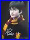 DANIEL-RADCLIFFE-IN-HARRY-POTTER-Genuine-signed-12x8-with-coa-SUPERB-01-yw