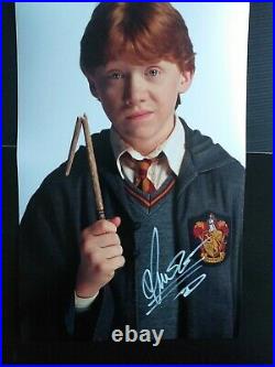 EXCELLENT RUPERT GRINT in HARRY POTTER Genuine signed 12x8 with coa SUPERB