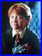 EXCELLENT-RUPERT-GRINT-in-HARRY-POTTER-Genuine-signed-12x8-with-coa-SUPERB-01-nlo