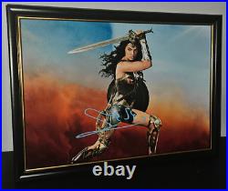 Gal Gadot Hand Signed Wonder Woman Photo With Coa Framed Authentic 8x10