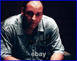 James Gandolfini signed 8x10 Photo autographed Picture with COA