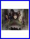 LOTR-Frodo-Baggins-16x12-Print-Signed-By-Elijah-Wood-100-Authentic-With-COA-01-yp