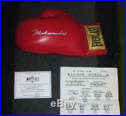Muhammad Ali Signed Everlast Boxing Glove, With Coa
