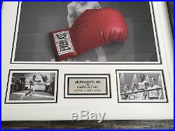 Muhammad Ali aka Cassius Clay Signed Glove Display with Online Authentics COA