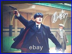 PEAKY BLINDERS star CILLIAN MURPHY Genuine signed 12x8 with coa SUPERB