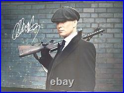 PEAKY BLINDERS star CILLIAN MURPHY Genuine signed 12x8 with coa SUPERB