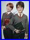 RADCLIFFE-and-GRINT-in-HARRY-POTTER-Genuine-signed-12x8-with-coa-SUPERB-01-loai