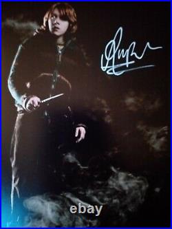 RUPERT GRINT IN HARRY POTTER Genuine signed 12x8 with coa SUPERB