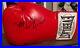 Rocky-Ivan-Drago-Boxing-Glove-Signed-By-Dolph-Lundgren-100-Authentic-With-COA-01-qoin