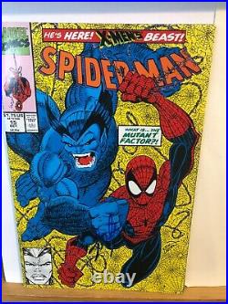 Signed Stan Lee Spiderman Comic with COA