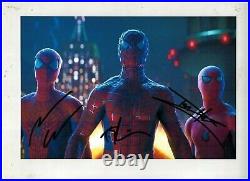 Spider Man Andrew Garfield & Tobey Maguire & Tom Holland SIGNED PHOTO WITH COA