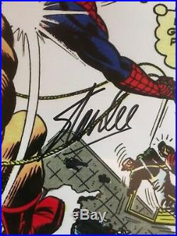 Stan Lee Signed Marvel Spider-Man cover mounted with COA 20x15