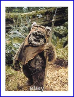 Wicket 12x16 Print Signed by Warwick Davis 100% Authentic With COA